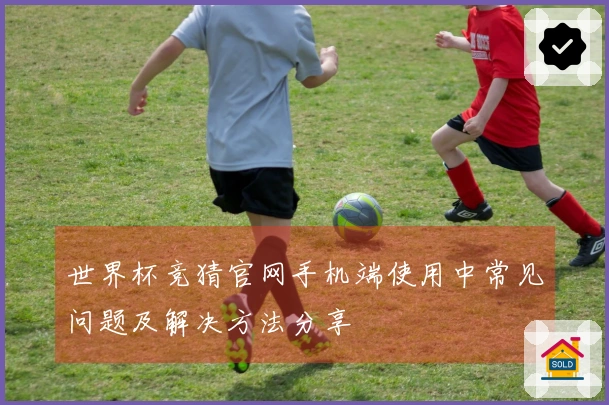世界杯竞猜官网手机端使用中常见问题及解决方法分享