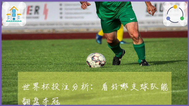 世界杯投注分析:看好哪支球队能翻盘夺冠