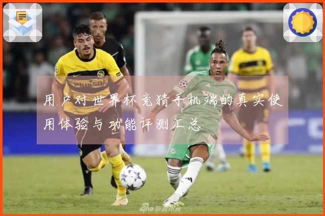 用户对世界杯竞猜手机端的真实使用体验与功能评测汇总