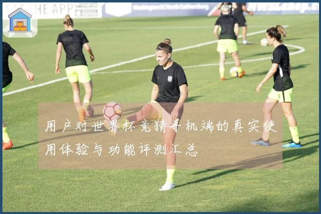 用户对世界杯竞猜手机端的真实使用体验与功能评测汇总