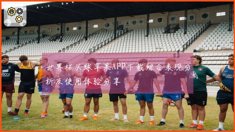 世界杯买球苹果APP下载综合表现分析及使用体验分享