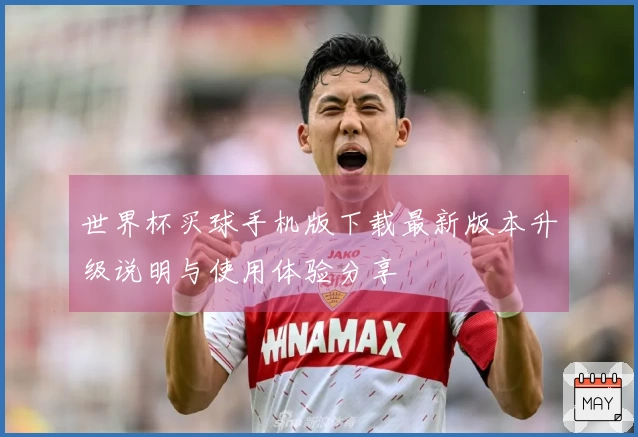 世界杯买球手机版下载最新版本升级说明与使用体验分享