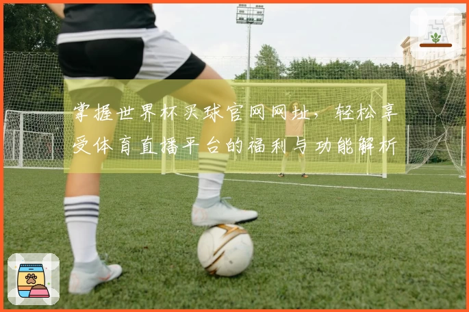 掌握世界杯买球官网网址，轻松享受体育直播平台的福利与功能解析