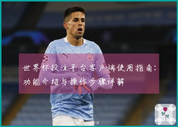 世界杯投注平台客户端使用指南：功能介绍与操作步骤详解