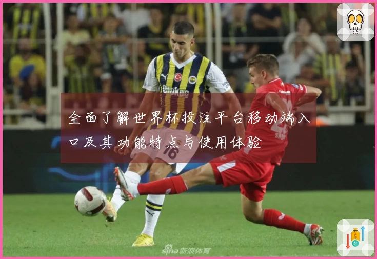 全面了解世界杯投注平台移动端入口及其功能特点与使用体验