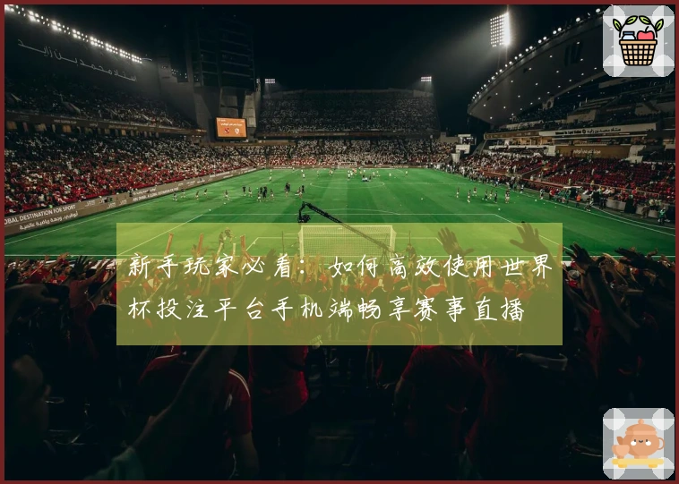 新手玩家必看:如何高效使用世界杯投注平台手机端畅享赛事直播