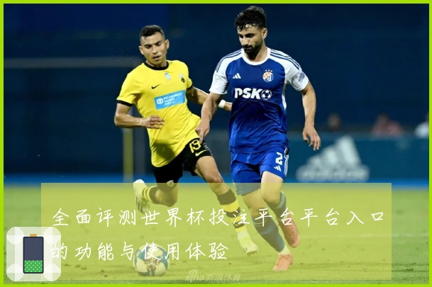全面评测世界杯投注平台平台入口的功能与使用体验
