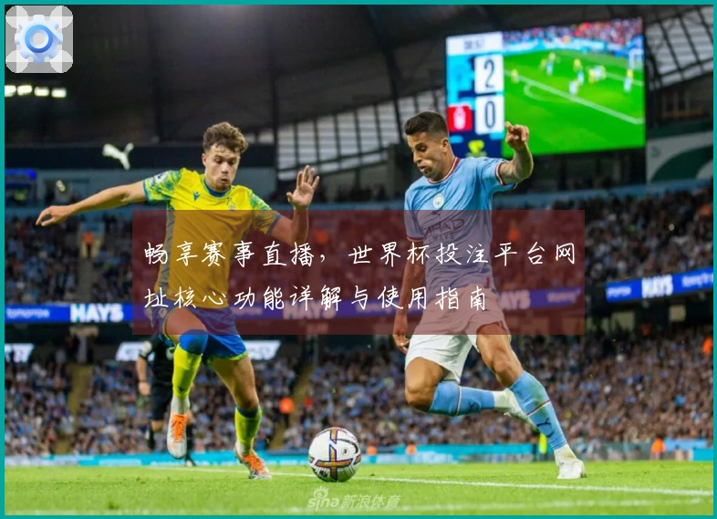 畅享赛事直播，世界杯投注平台网址核心功能详解与使用指南