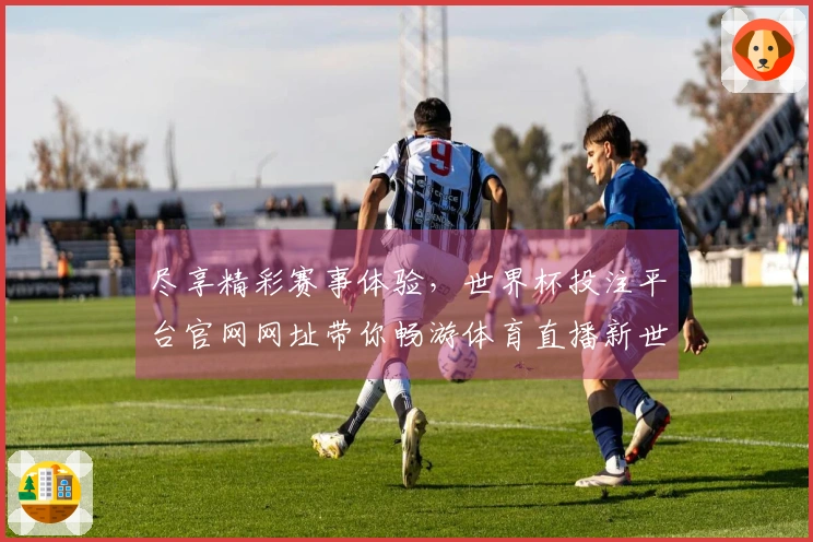 尽享精彩赛事体验，世界杯投注平台官网网址带你畅游体育直播新世界
